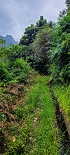 Plants: image 92 Of 208 Thumb